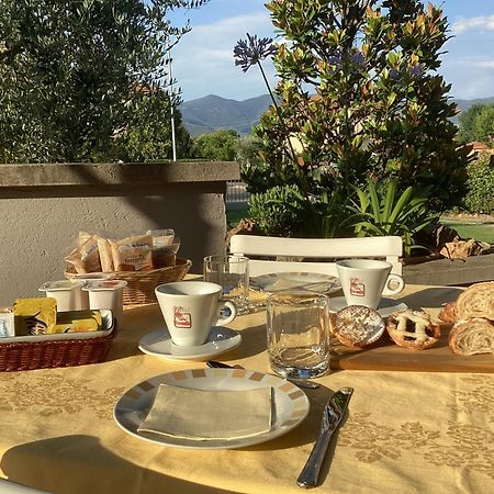 Villa Orsini - A Retreat In Pisa - Food And Relax ภายนอก รูปภาพ