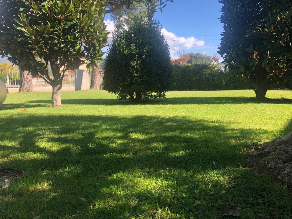 Villa Orsini - A Retreat In Pisa - Food And Relax ภายนอก รูปภาพ